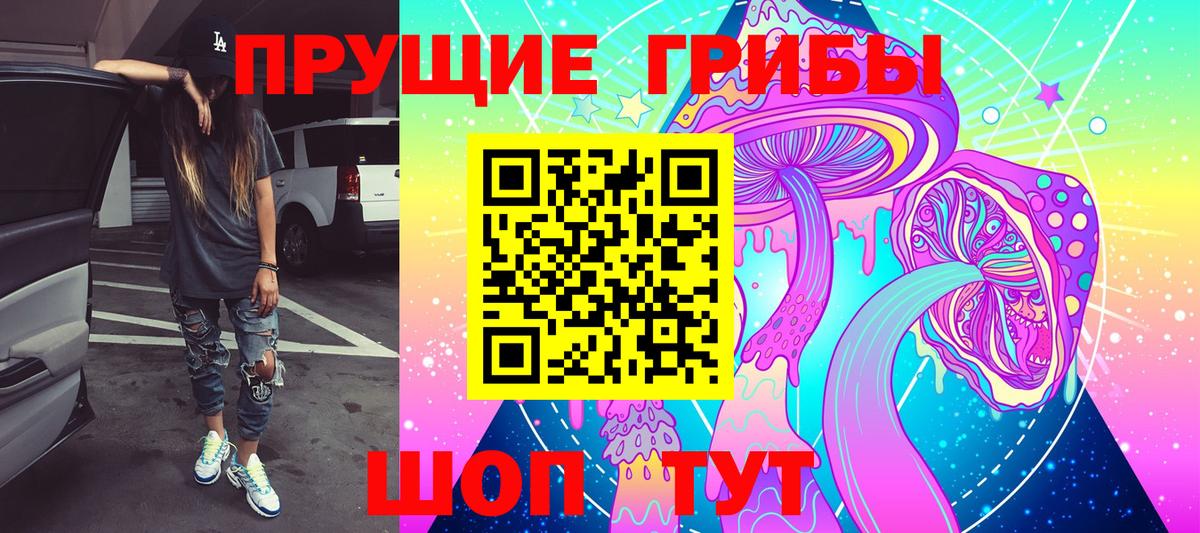 Псилоцибиновые грибы ЛСД Будённовск