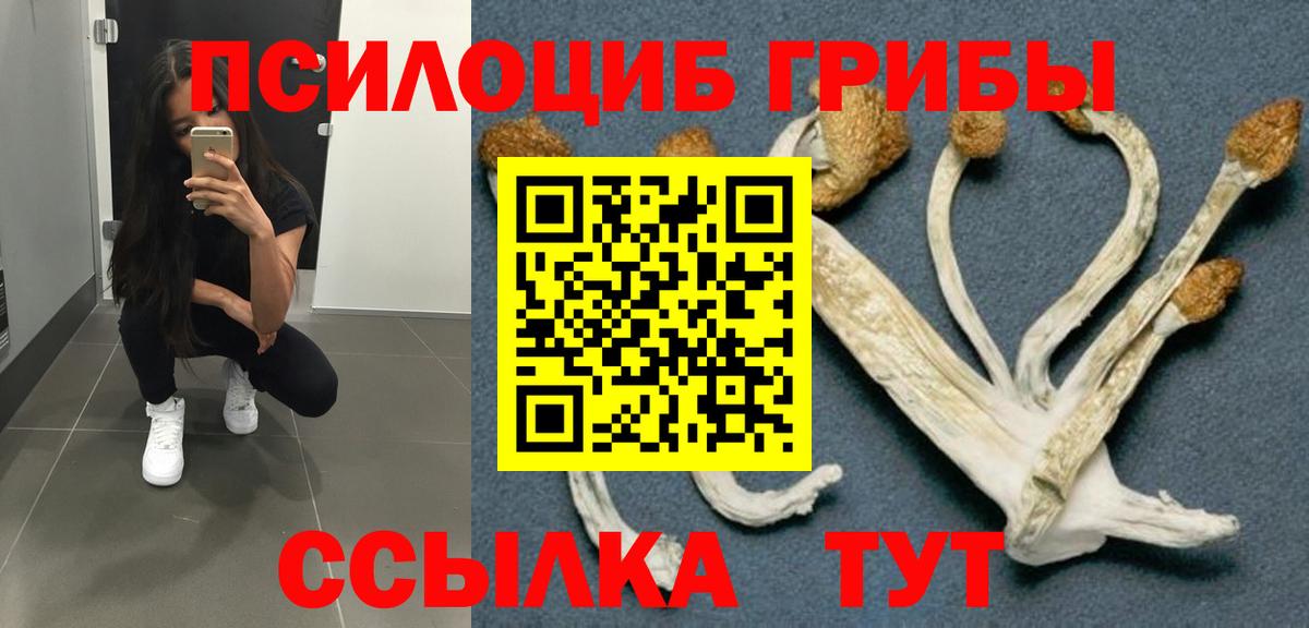 Псилоцибиновые грибы Magic Shrooms  Вход с VPN  хочу наркоту  Будённовск  Галлюциногенные грибы Cubensis 
